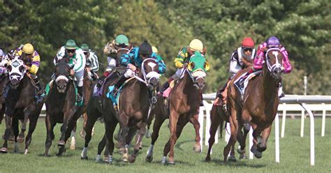 belmont stakes lineup